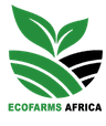 tan ecofarms african